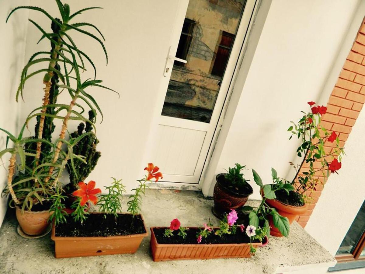 קאחתי Erik'S Guest House מראה חיצוני תמונה